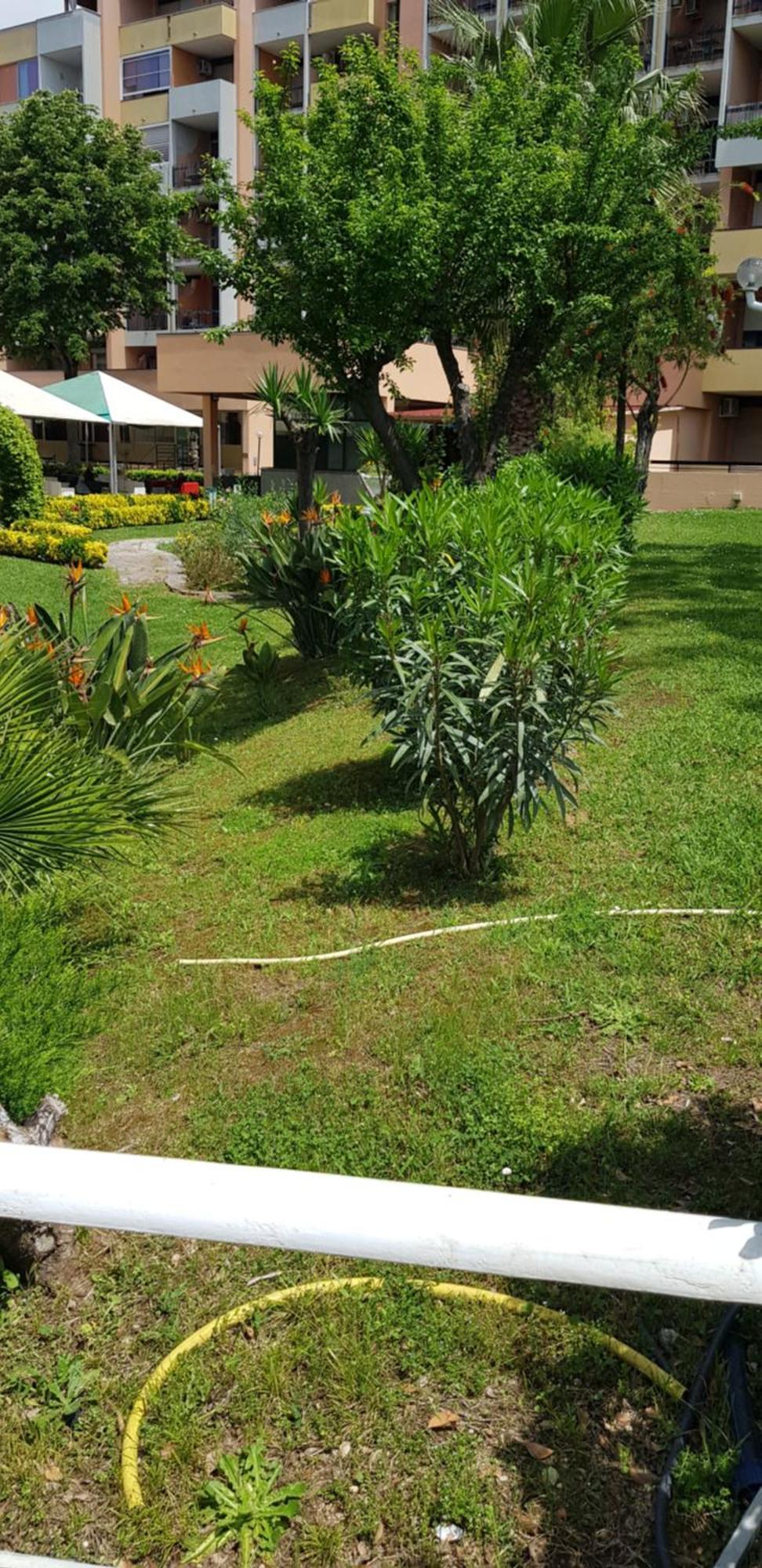 Green Oasis Roma Eksteriør bilde